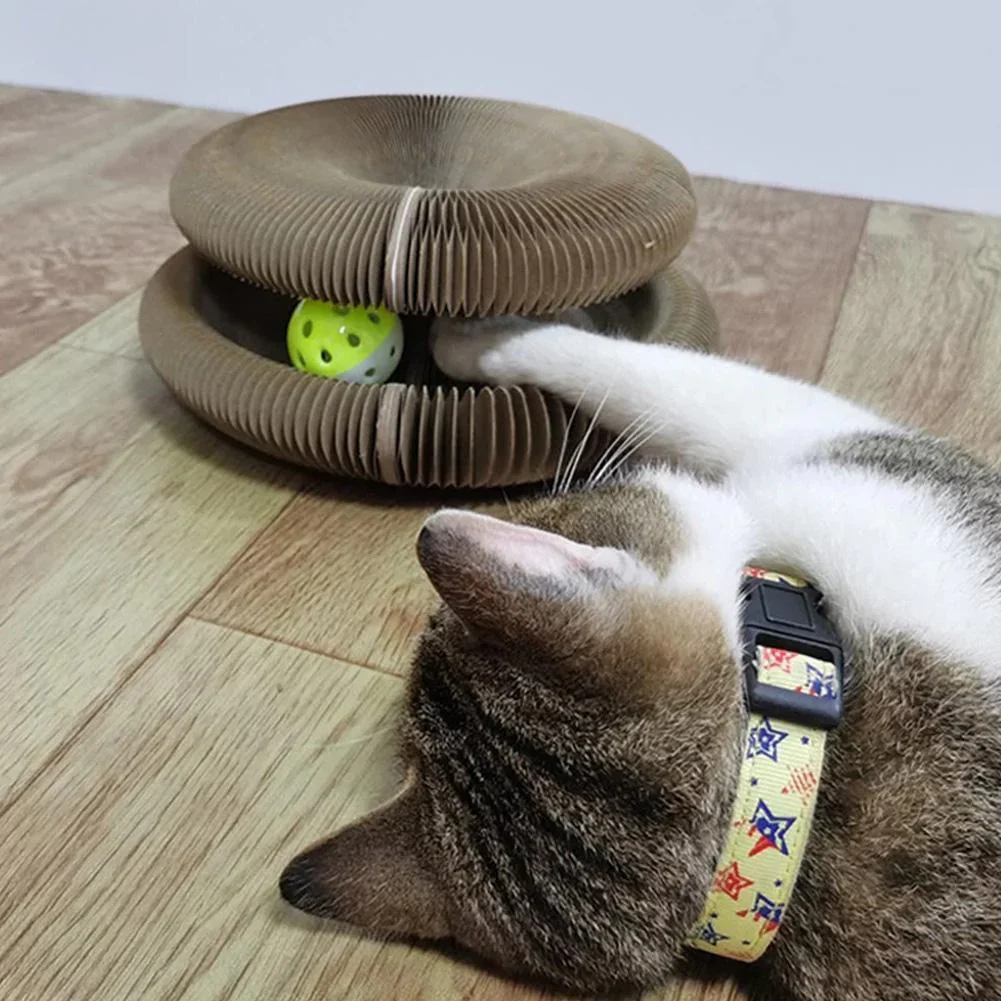 Active Fun for Your Cat – PurrPlay - Image 4