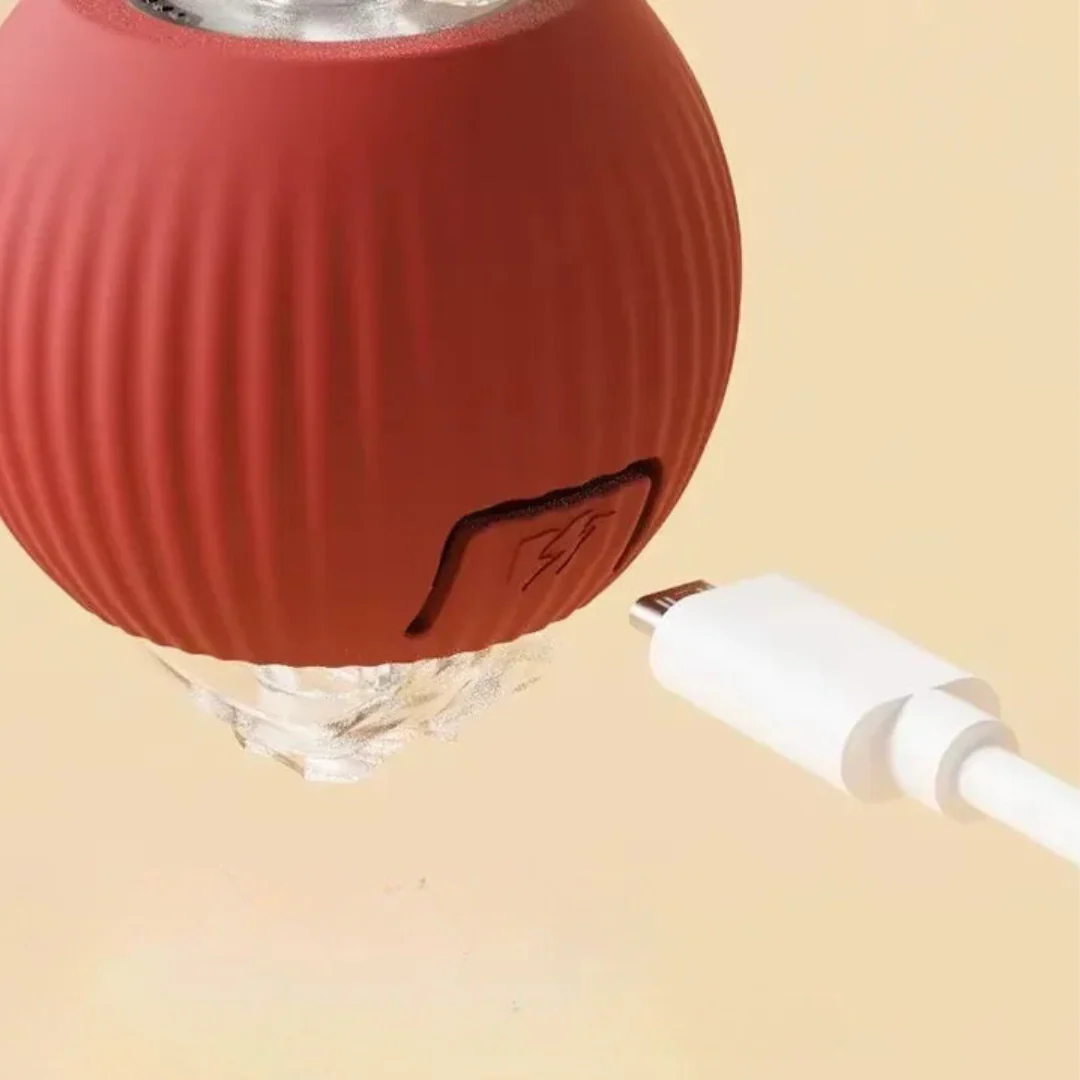Active Rolling Ball with Tail for Dogs - Image 4