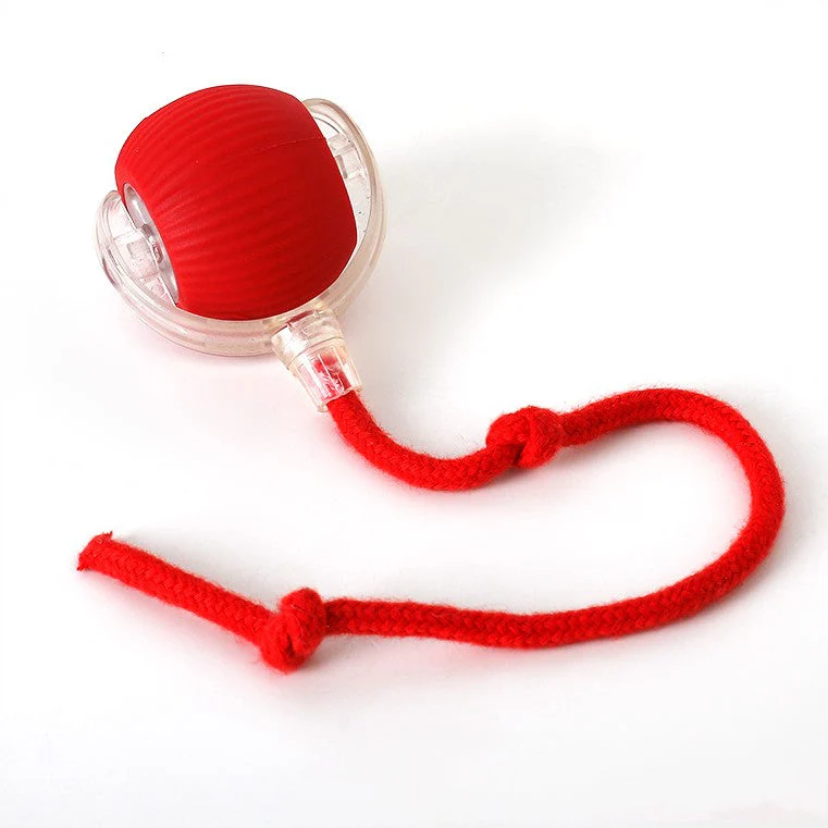 Active Rolling Ball with Tail for Dogs - Image 6