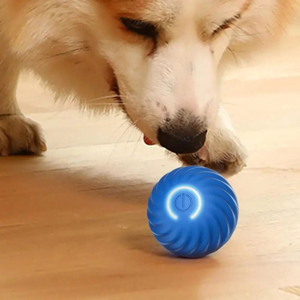 Automatic Interactive Dog Toy – RolliPlay - Image 3