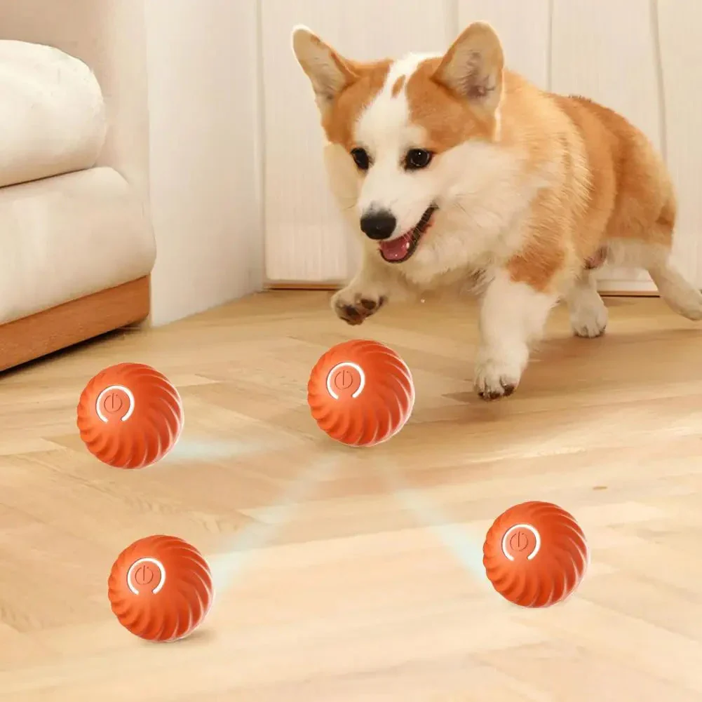 Automatic Interactive Dog Toy – RolliPlay - Image 4