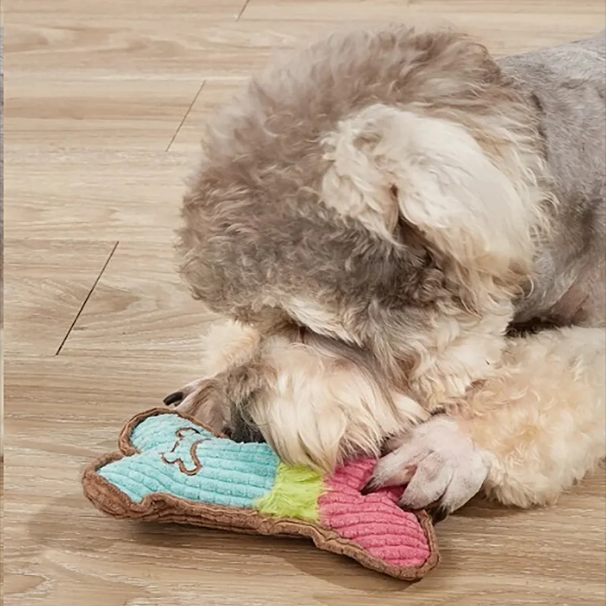 Bone Plush Chew Toy - Image 2