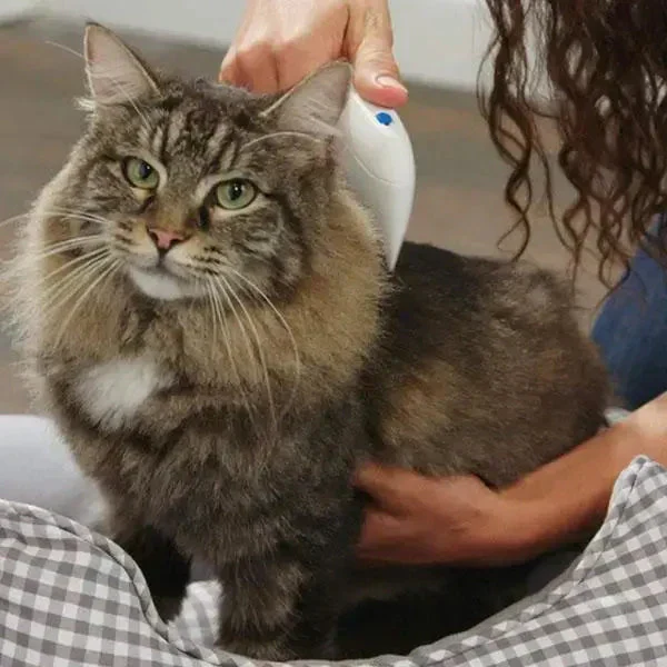 BugFree Electric Flea Comb for Pets - Image 4