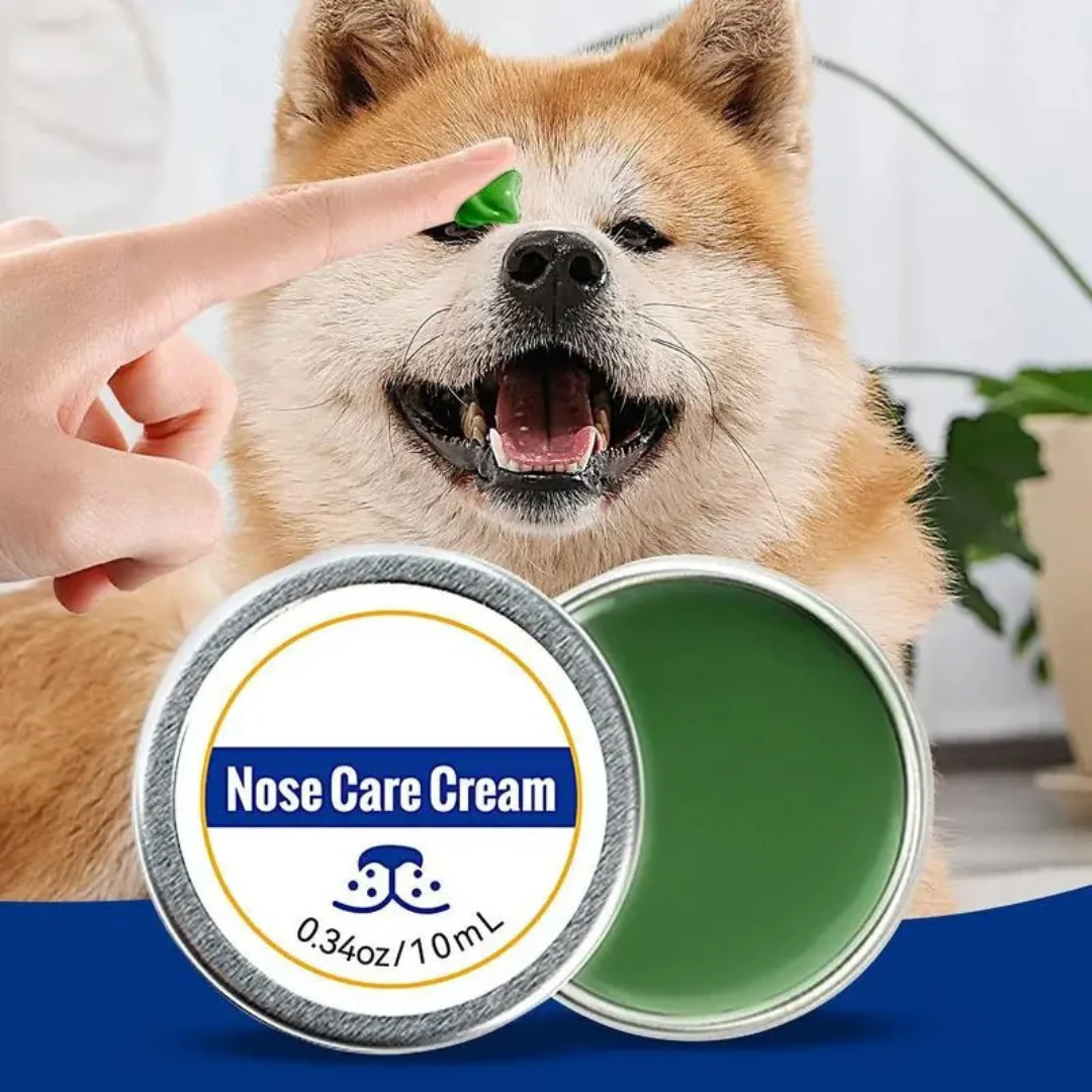 Care and protection cream for dog snouts - Image 2