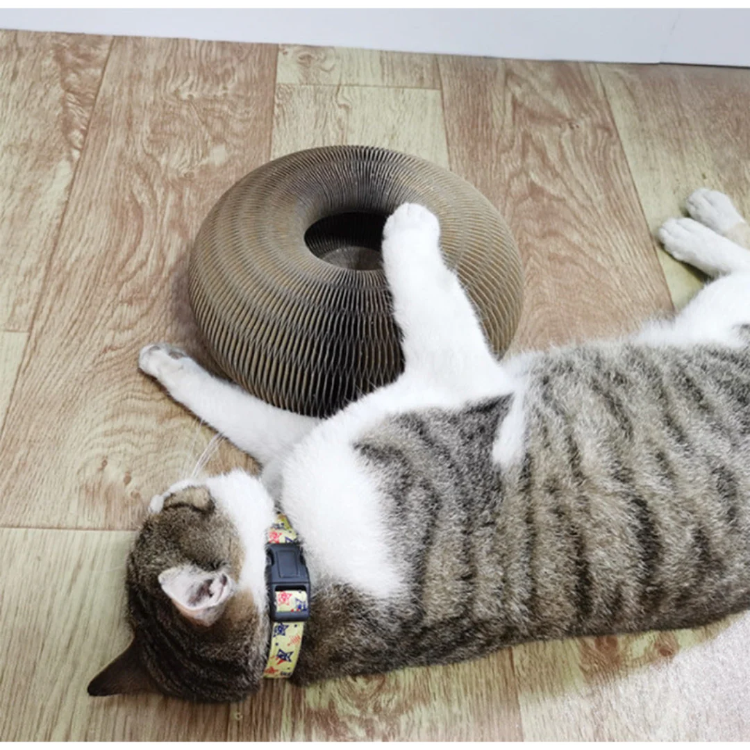 Cat Ball and Scratch Toy - Image 3