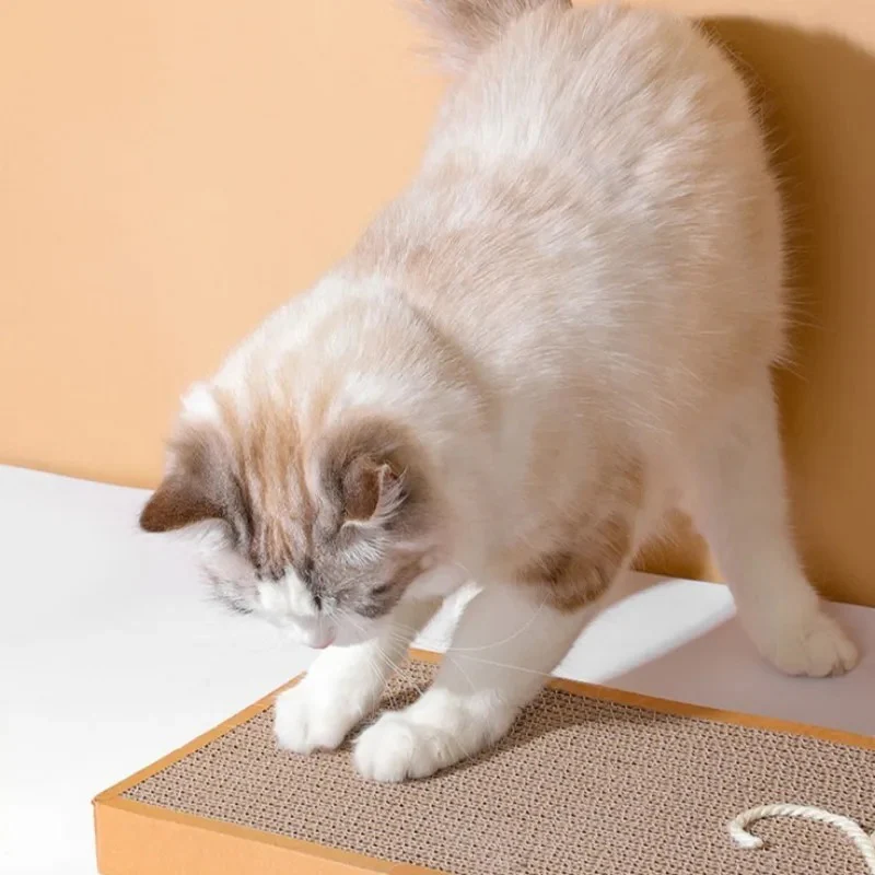 Cat Cardboard Mat Scraper - Image 4