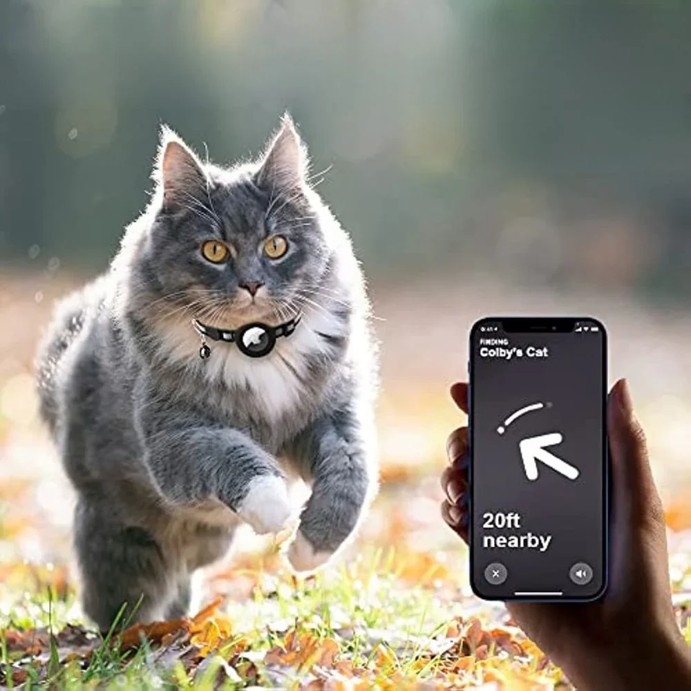 Cat Collar with Safety Closure