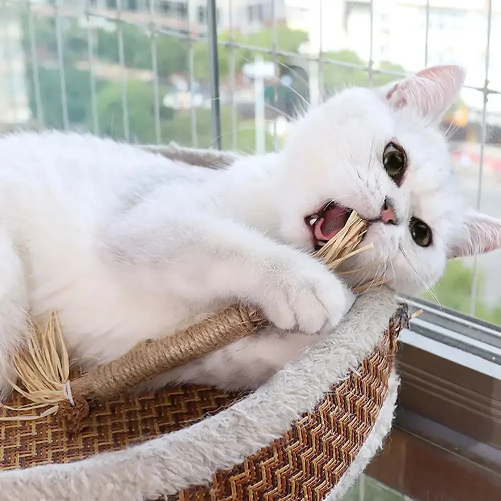 Cat Dental Cleaning Sticks - Image 4