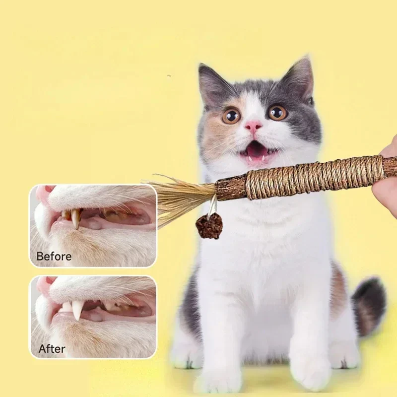 Cat Dental Cleaning Sticks - Image 5