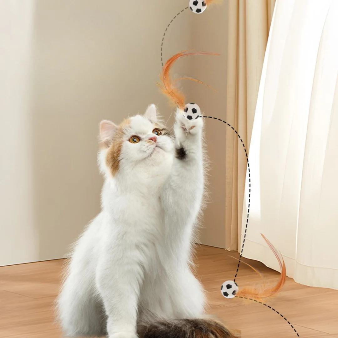 Cat Feather Rubber Ball Toy - Image 5