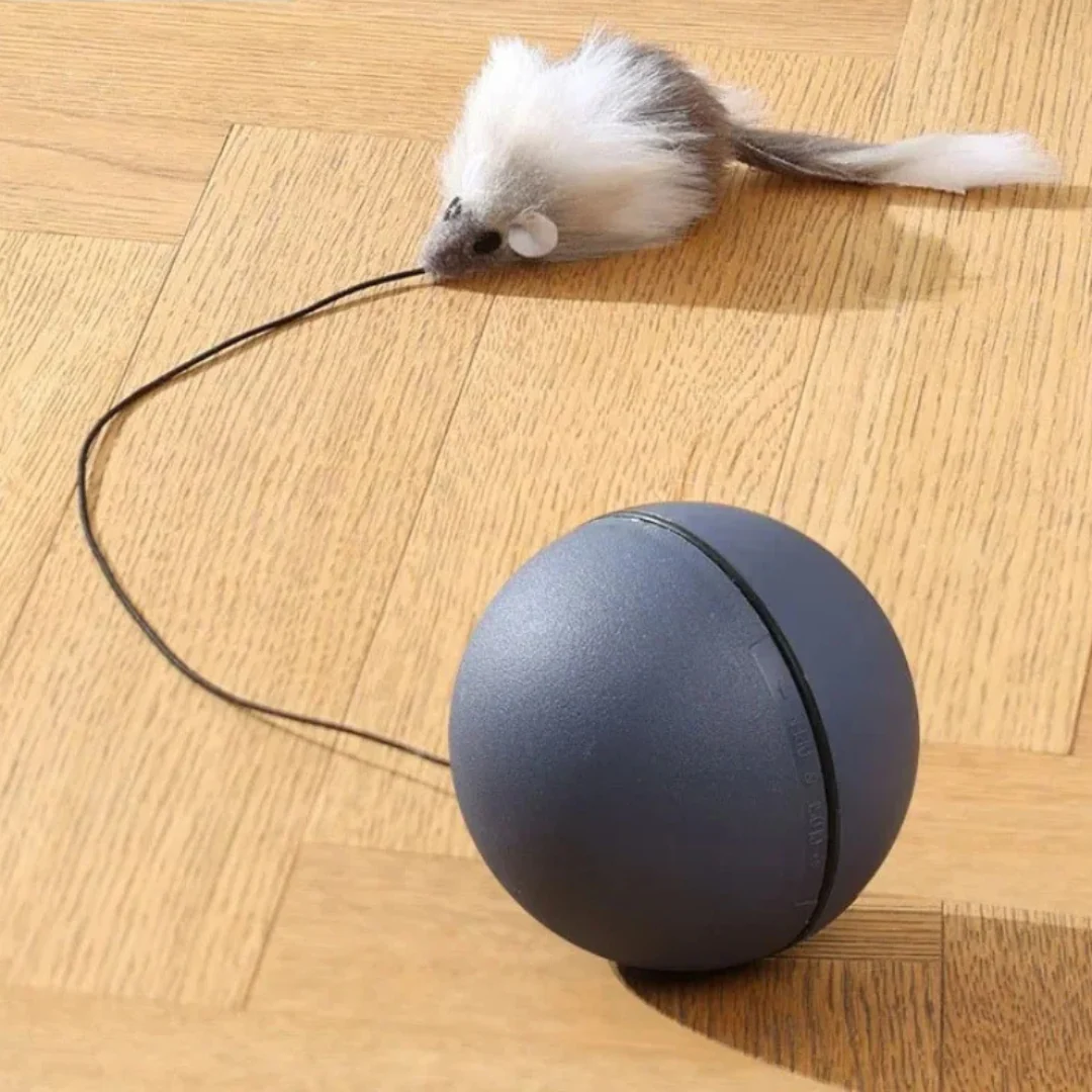 Cat turbo ball with tail toy - Image 8