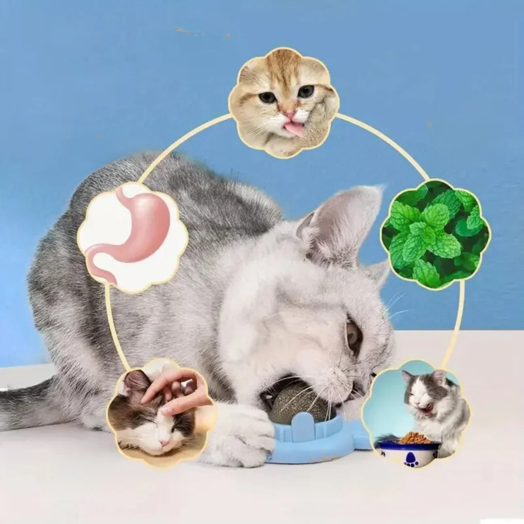 Catnip ball - Image 15