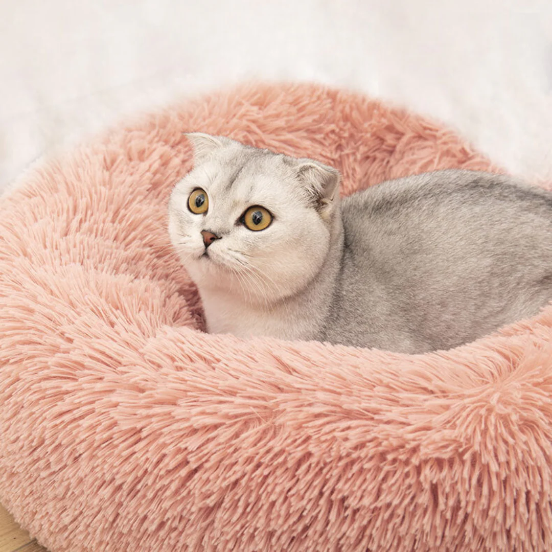Cozy Cloud Cat Bed - Image 5