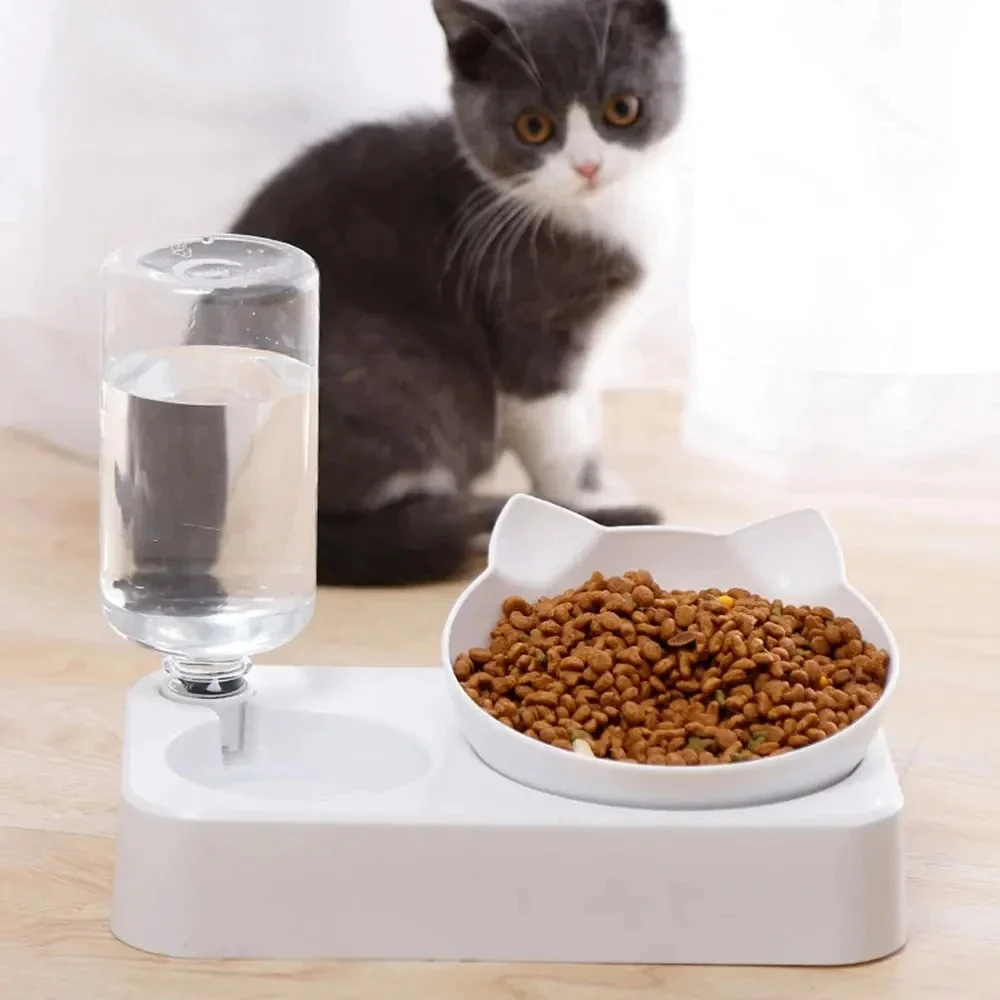 Dual-Purpose Tilted Pet Bowl - Image 7