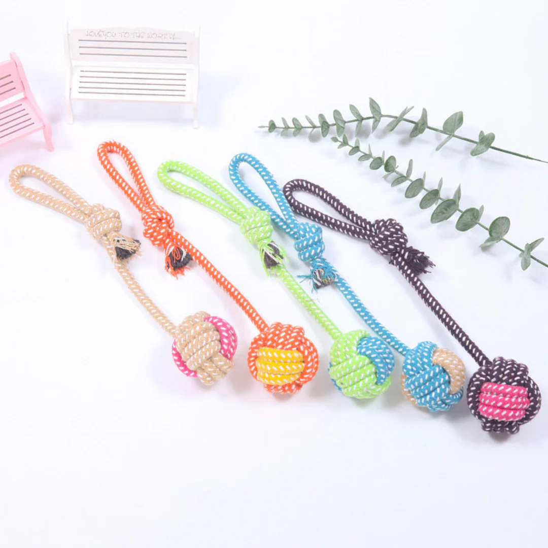Durable Chew and Tug Play Set for Dogs - Image 9