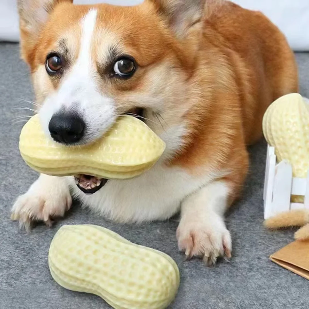 Durable squeaky peanut chew toy for dogs - Image 3