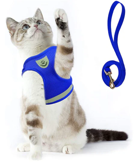 Explorer Harness with Leash - Image 3