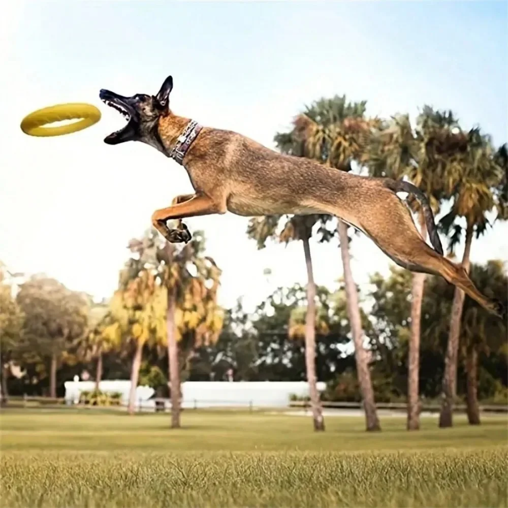 Flying Disc Training Ring Puller - Image 2