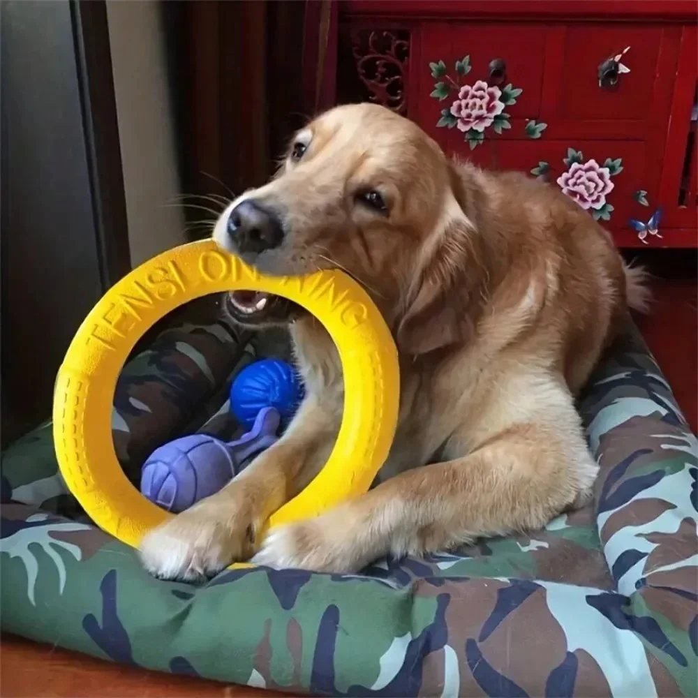 Flying Disc Training Ring Puller - Image 3