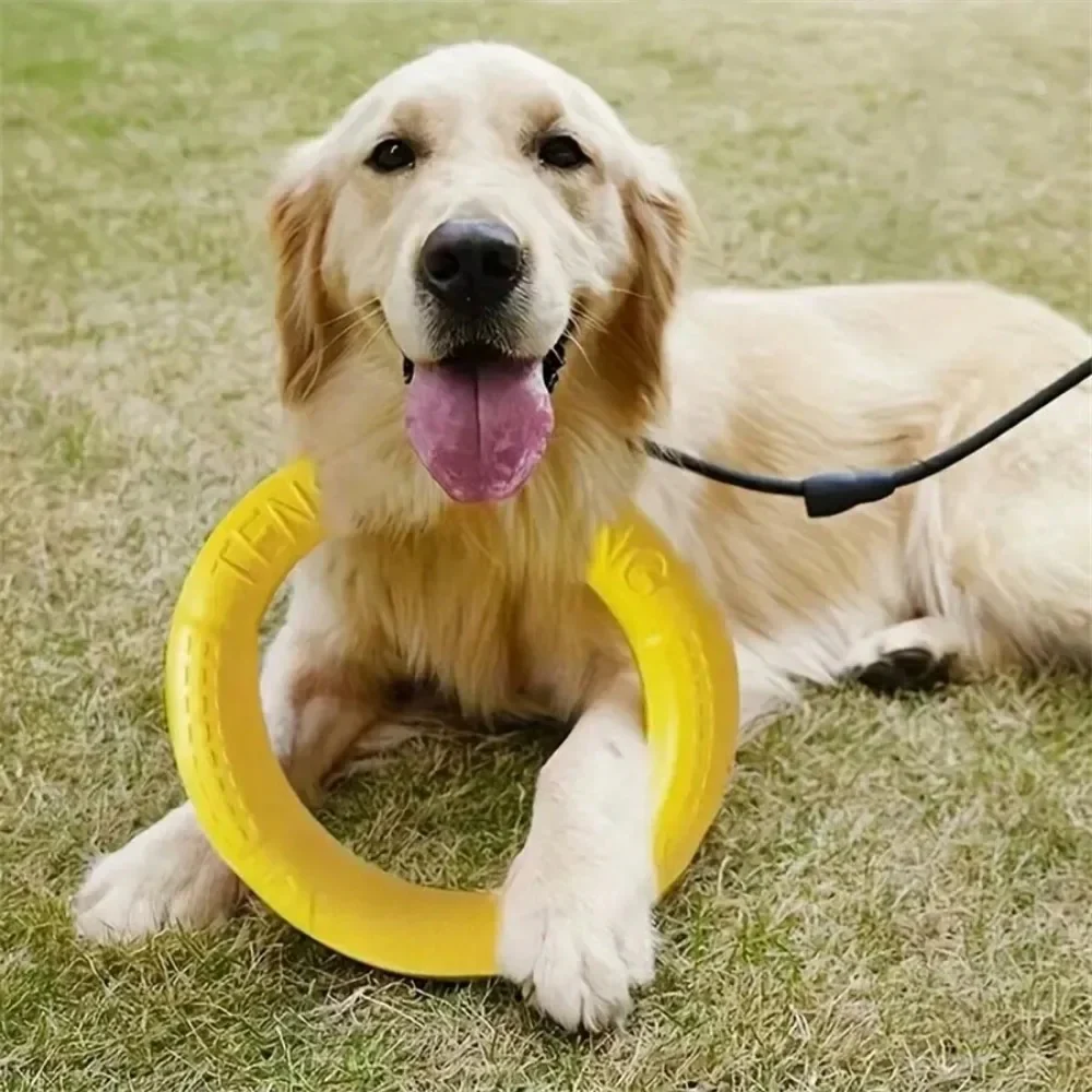 Flying Disc Training Ring Puller - Image 4