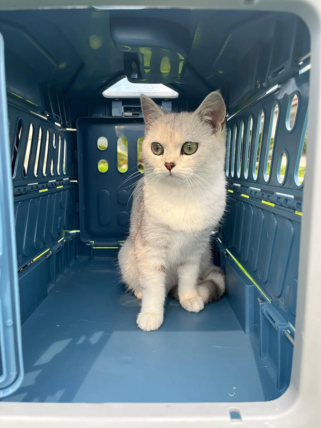 Foldable Pet Transport Box - Image 4