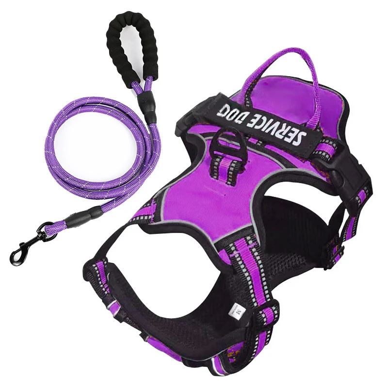 FreeMotion - Personalised Y-Shape Dog Harness - Image 16