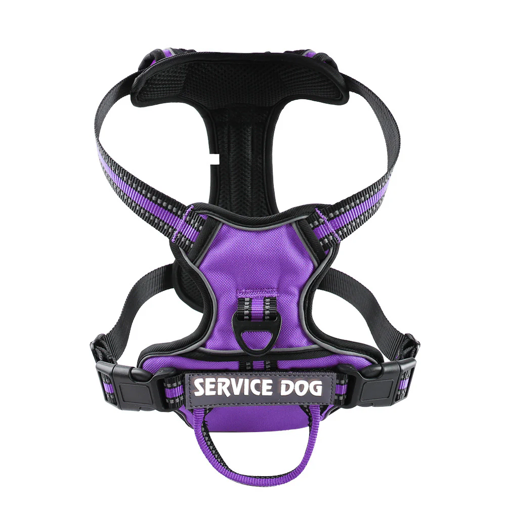 FreeMotion - Personalised Y-Shape Dog Harness - Image 7