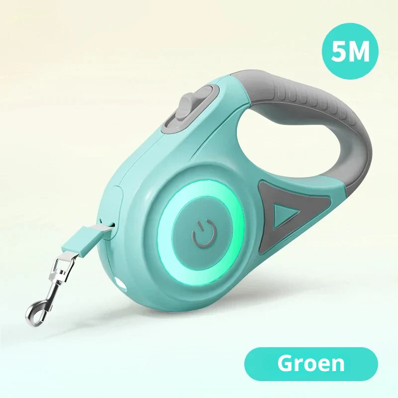 GlowLeash Walk - Image 2
