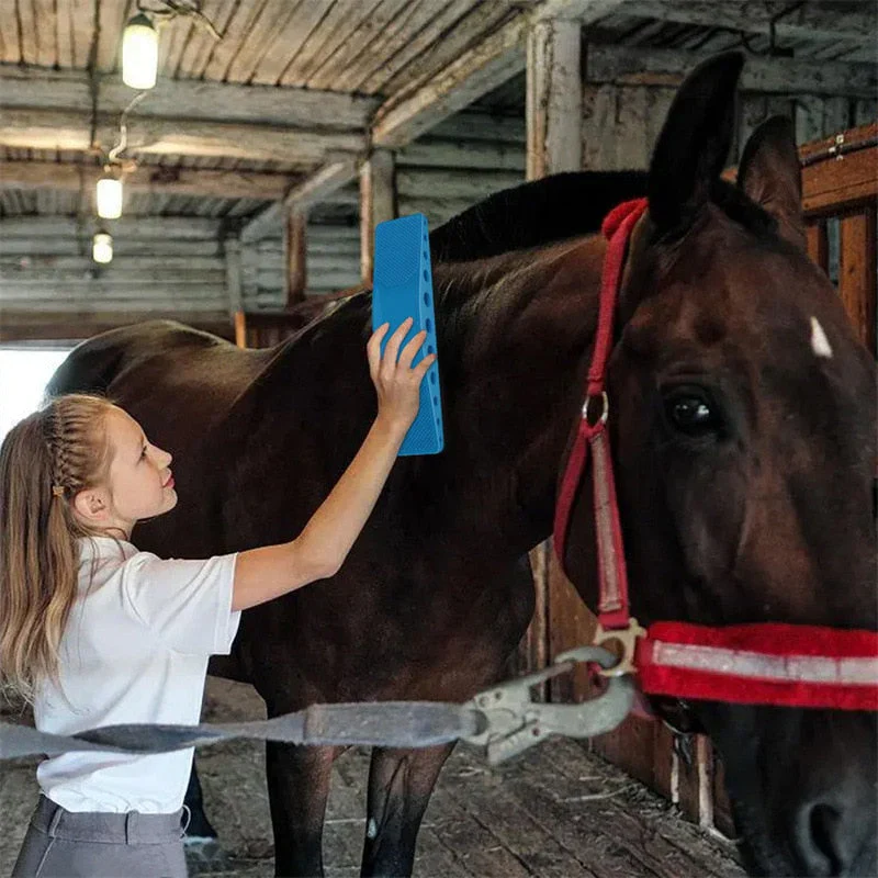 HorseCare Pro 6-in-1 Brush - Image 2