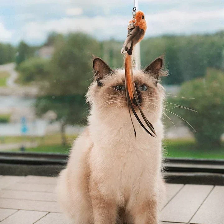 Interactive Cat Toy – FlatterFreund - Image 2