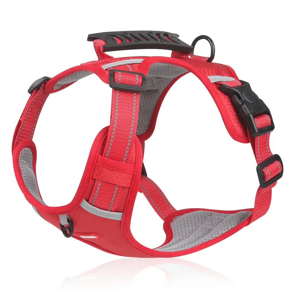 NoPull Dog Harness β WalkEase - Image 3