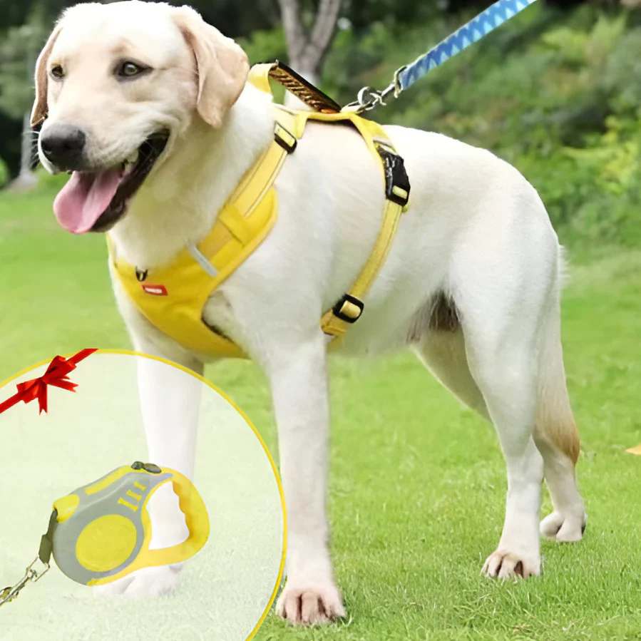 NoPull Dog Harness β WalkEase - Image 5