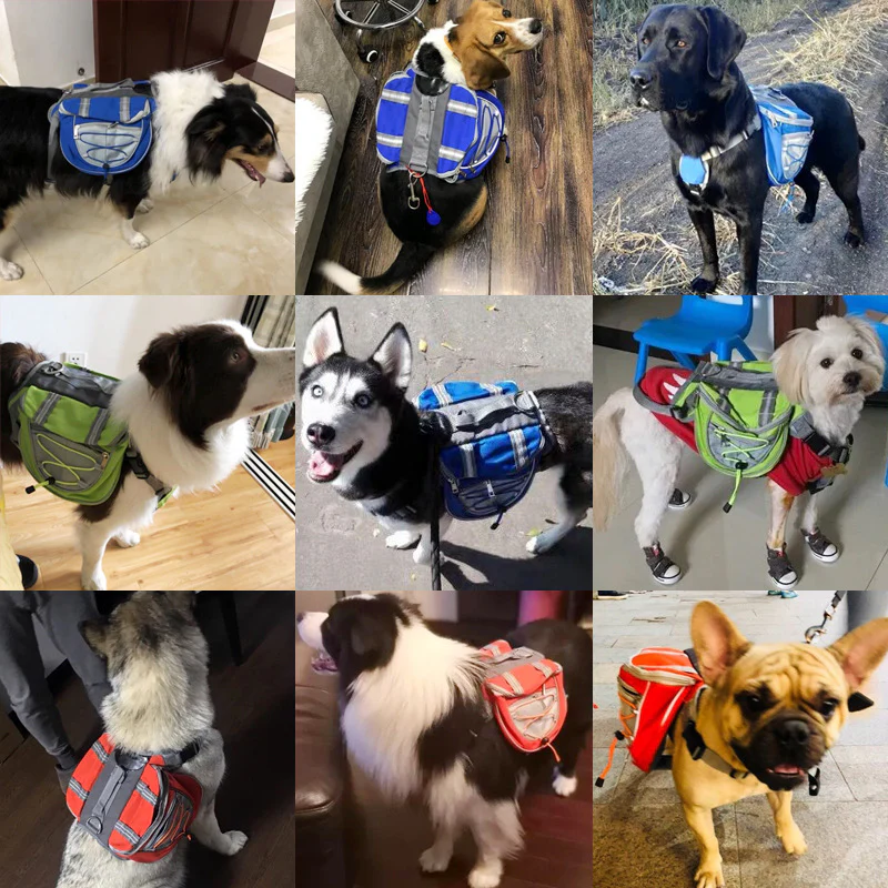 Pet Backpack Carrier - Image 2