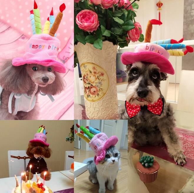 Pet Birthday Hat – PartyPaws - Image 4