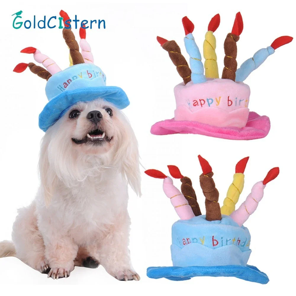 Pet Birthday Hat – PartyPaws - Image 5