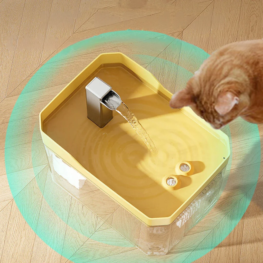 Pet Water Dispenser for Clean and Fresh Water - Image 6