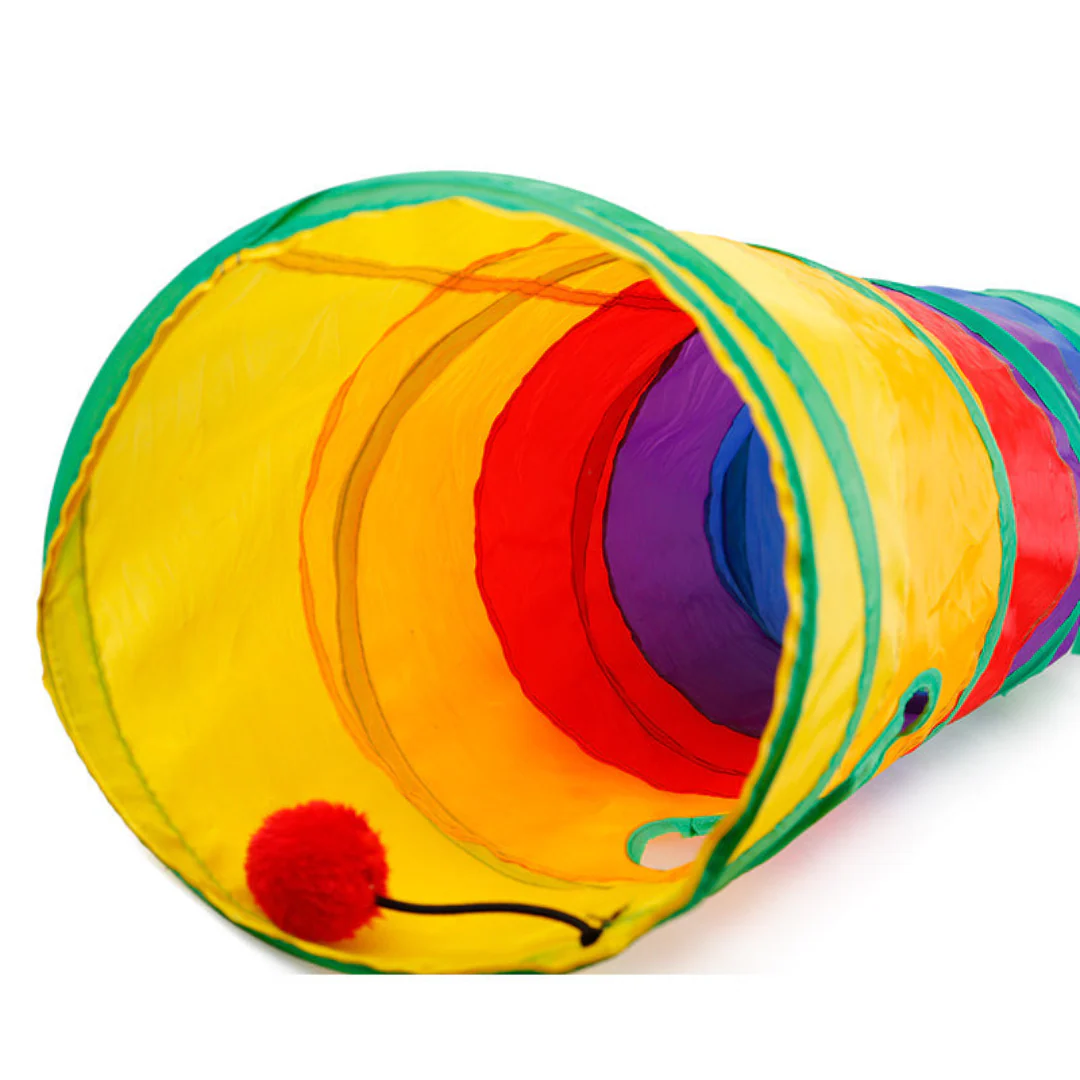 Rainbow cat tunnel - Image 9