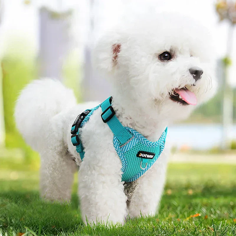 Reflective Dog Harness and Leash Set for Small Dogs β SafeStep