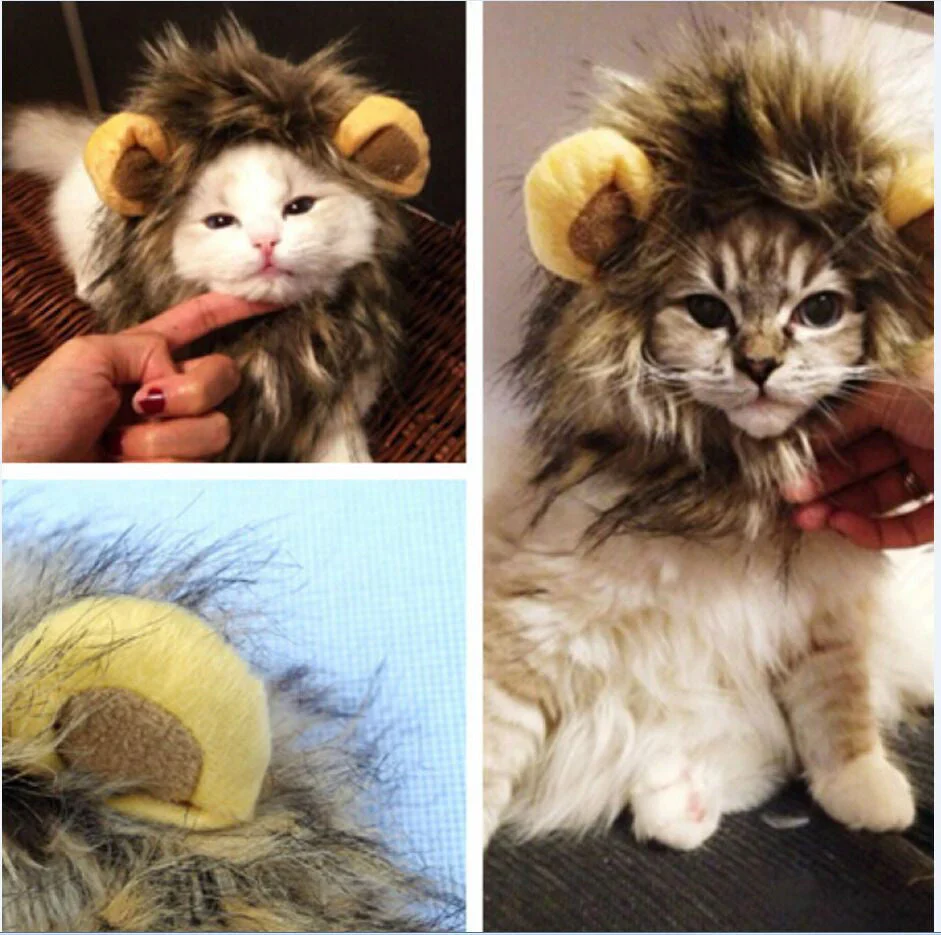 Royal Cat Mane – FelineKing - Image 2