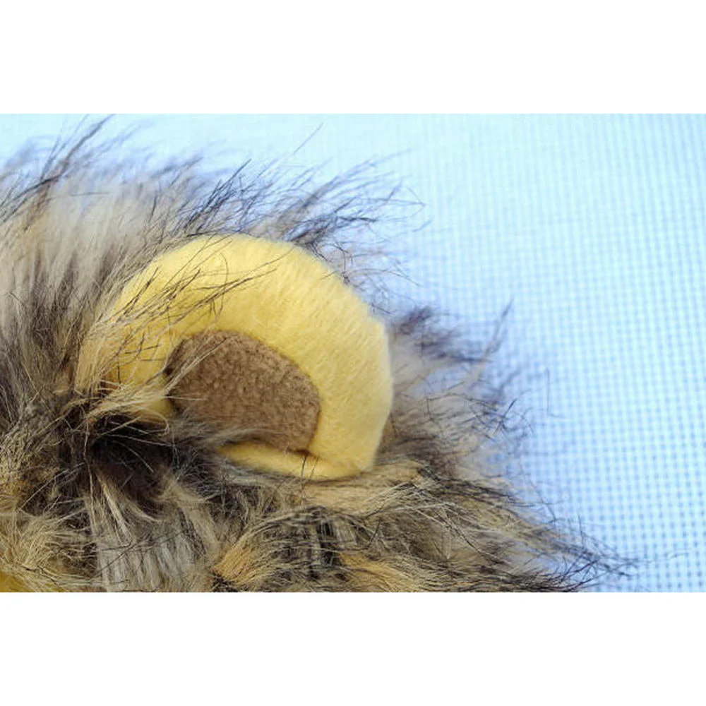 Royal Cat Mane – FelineKing - Image 4