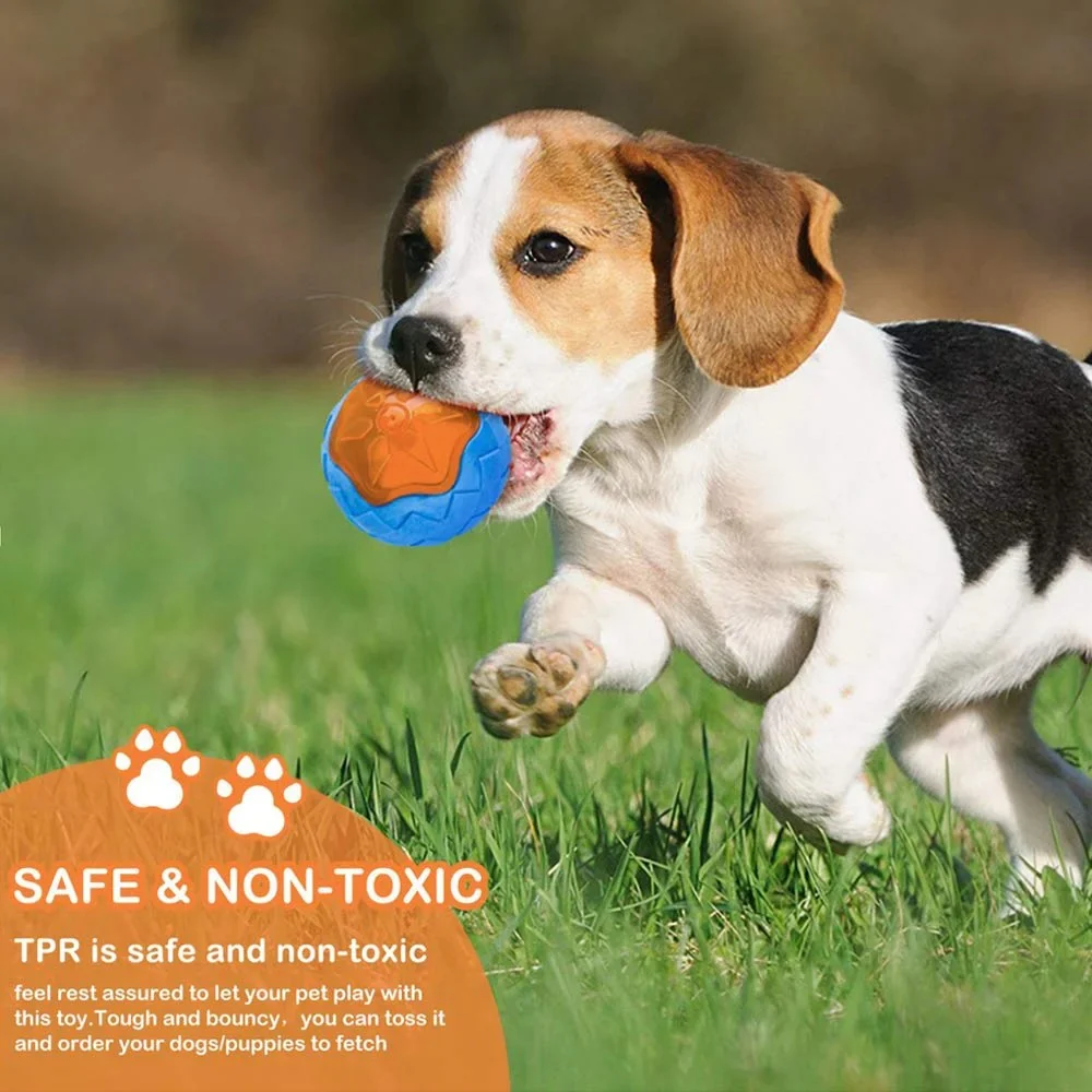 Rubber Dog Toys – Durable, Fun, and Safe for Your Dog - Image 5
