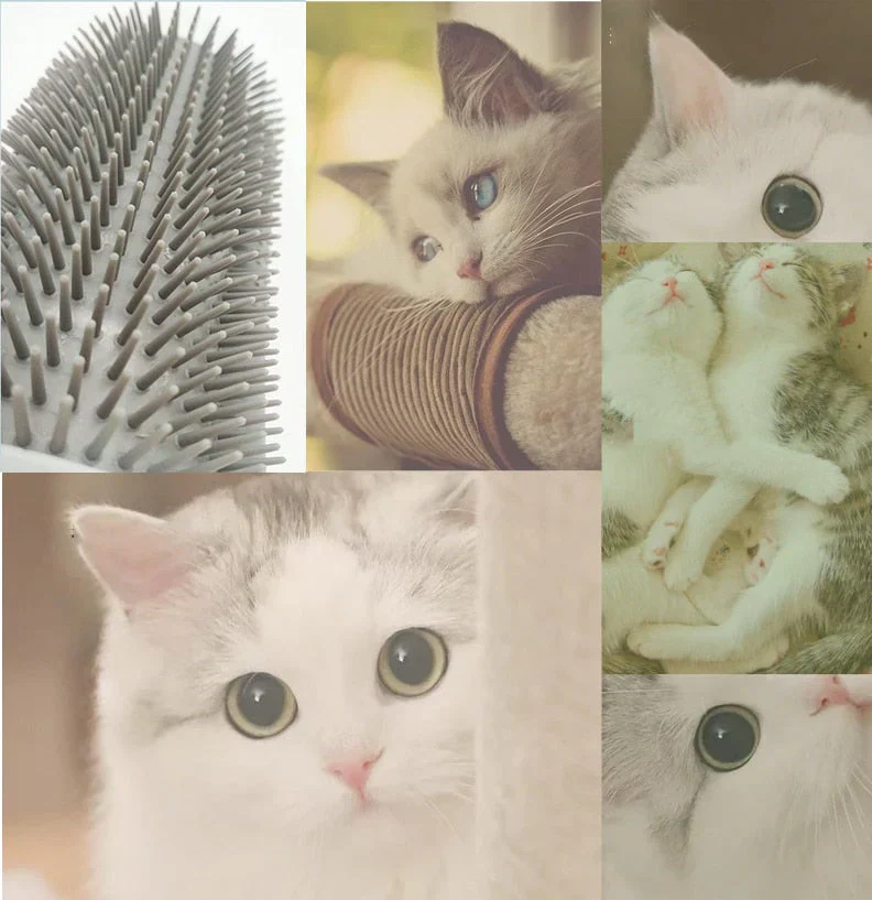 Self-Grooming Cat Corner Brush – FurRelaxer - Image 4