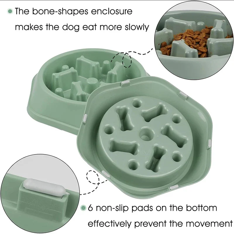 Slow Eating Feeding Station for Dogs - Image 4