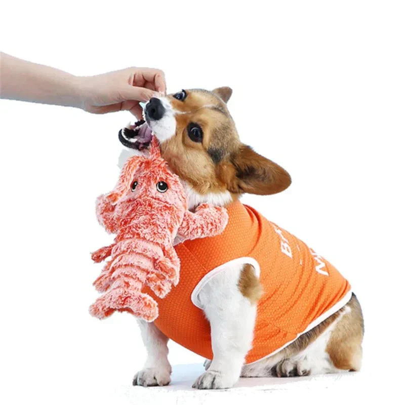 Spring Crab – The Jumping Dog Toy - Image 2