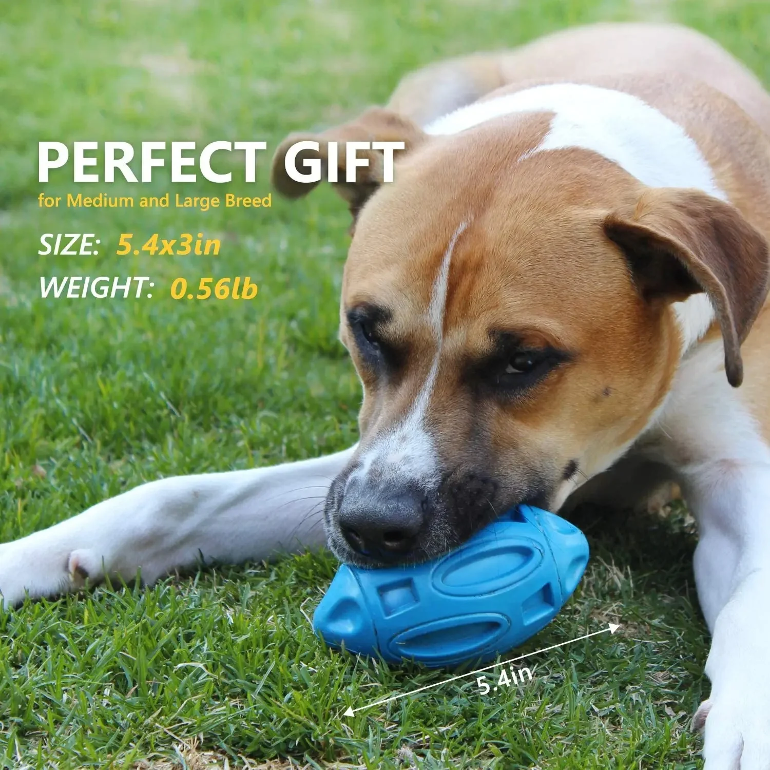 Squeaky Dog Toys for Aggressive Chewers - Image 7