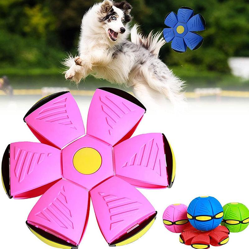 TurboFly β Ultimate Pet Flying Disc - Image 5