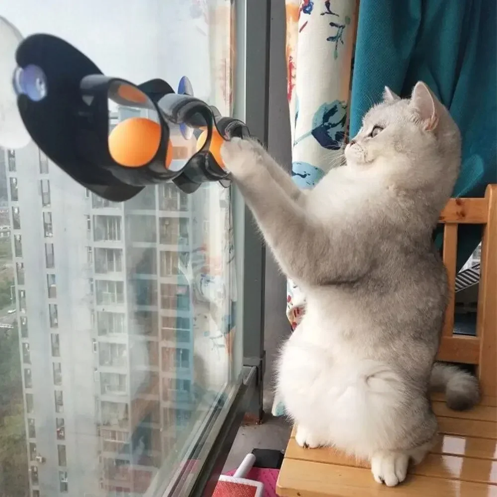 Window Table Tennis Cat Toy